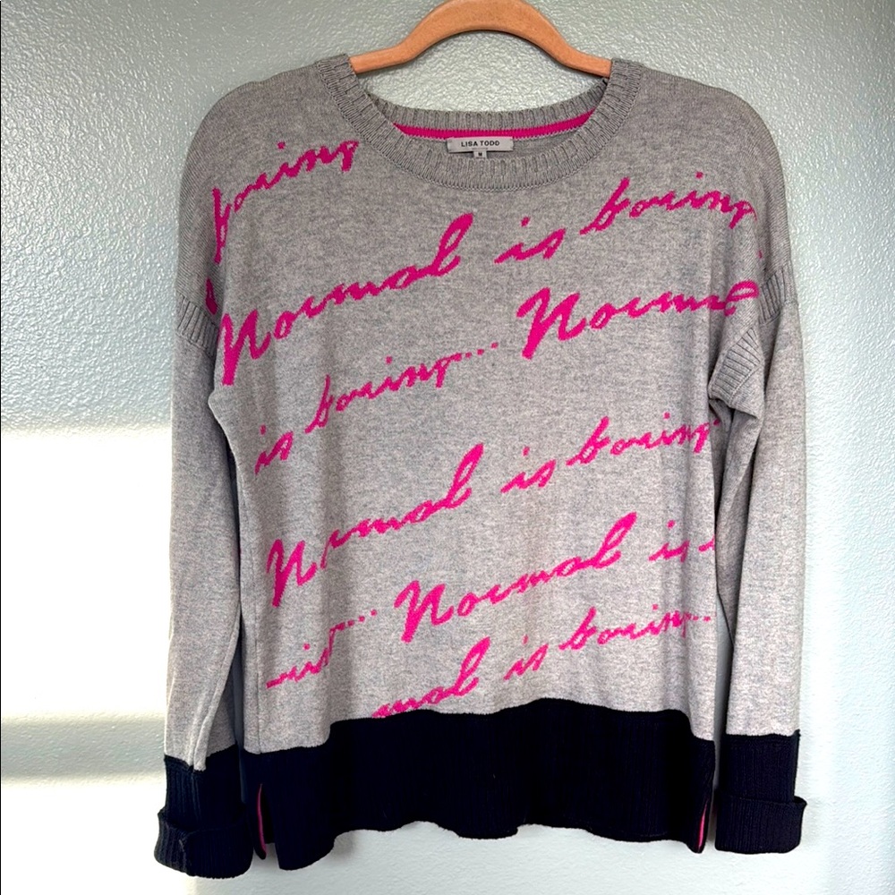 Lisa Todd Gray Sweater with Hot Pink Script and Black Hem